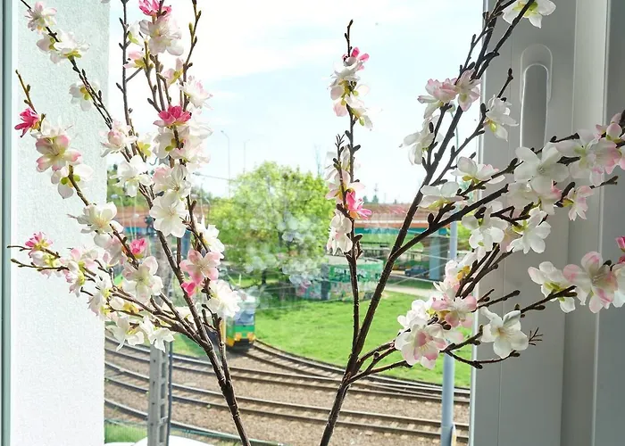 Pyza With Parking Zgoda 30