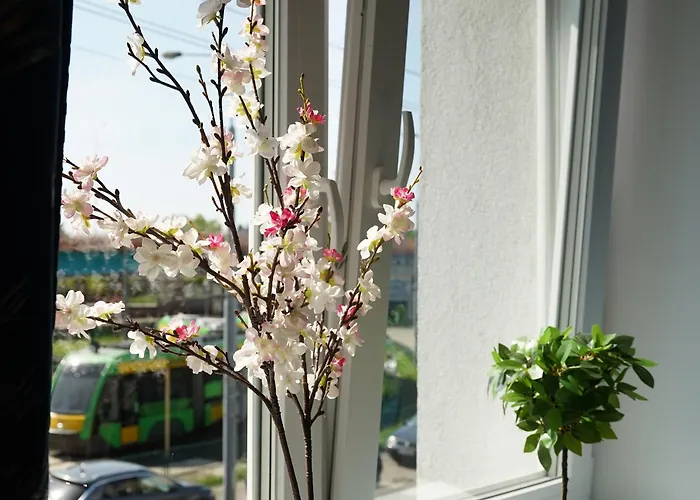 Pyza With Parking Zgoda 30 Apartment *